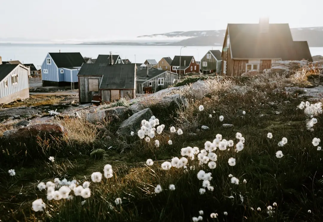 Remote Ittoqqortoormiit at sundown